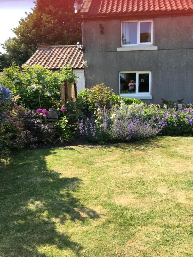 Oscar Park Farm Bed & Breakfast York Eksteriør bilde