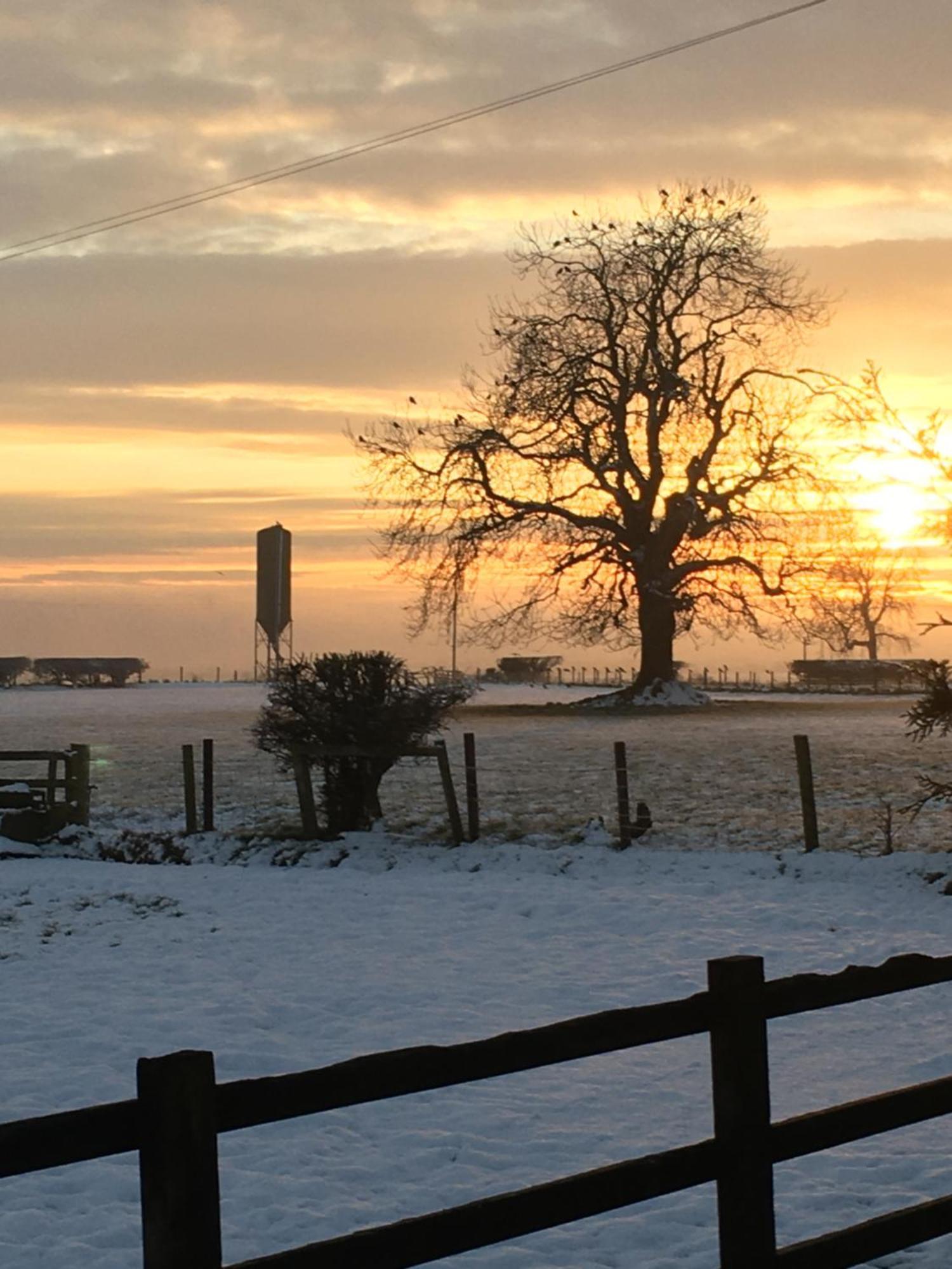 Oscar Park Farm Bed & Breakfast York Eksteriør bilde